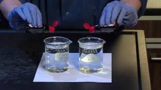 Diffusion and Osmosis  For Teachers [upl. by Lubin572]