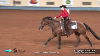 2020 AQHA Amateur Ranch Riding [upl. by Zeiger464]