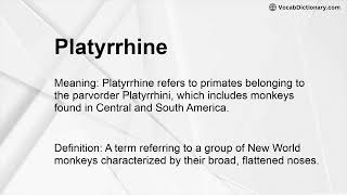 Platyrrhine Meaning [upl. by Riatsala]