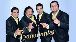 Los Caminantes Mix 2021  Cumbias Tropicales  Cumbias Bailables [upl. by Verena]