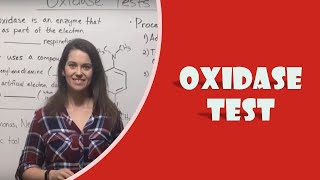 Oxidase Test [upl. by Kcirttap]