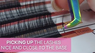 Volume Lashing Technique for Beginners [upl. by Rudd]