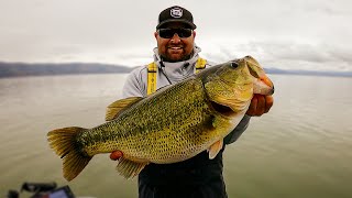 Raw Fishing Footage on Clearlake Giant Bass Caught Spring Bass Fishing [upl. by Anahsahs955]