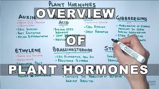 Plant Hormones  Types and Functions [upl. by Norris]