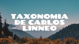 Taxonomía de Carlos Linneo [upl. by Isdnyl783]