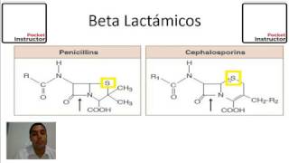 Como funciona la penicilina Pocket Instructor [upl. by Ahcsatan]