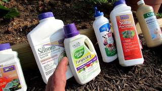 4 Common Mistakes Made When Managing Fungal Diseases in the Garden Overview of 6 Basic Fungicides [upl. by Anoval]