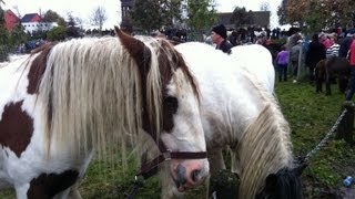 Ballinasloe Horse Fair 2012 [upl. by Polito]