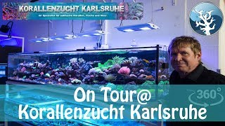 OnTourKorallenzucht Karlsruhe [upl. by Nanoc]