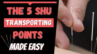 5 Shu Transporting points Acupuncture [upl. by Fishback]