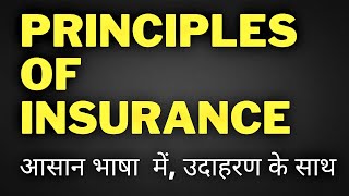 Principles of Insurance Explained  Principles of Insurance in Hindi with Examples [upl. by Bernelle]