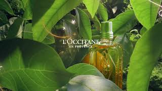 Holiday 2020  LOccitane [upl. by Gonzalez]