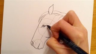 Beginners Lesson  How To Draw A Horse [upl. by Emlin]