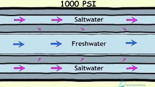 How Desalination Works [upl. by Tarttan341]