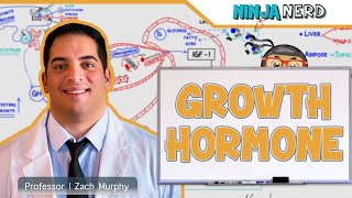 Endocrinology  Growth Hormone [upl. by Hendrick]