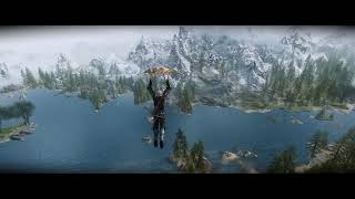 Skyrim SE  DynDOLOD 3  3D Tree LOD [upl. by Goldshell605]