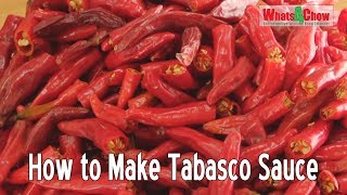 Lactofermented Hot Sauce  Easy Homemade Tabasco Sauce  Simple TabascoStyle Chili Sauce [upl. by Kerat]