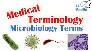 Medical Terminology  The Basics  Microbiology and Infectious Diseases Lesson [upl. by Grefe]