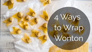 4 Ways to Wrap Wonton [upl. by Hgielra847]