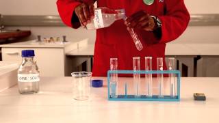 CTSC practical experiment  Temperature amp rate of reaction [upl. by Eelrefinnej314]