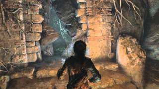 Rise Of The Tomb Raider  Flooded Archives Coin Caches [upl. by Wellington]