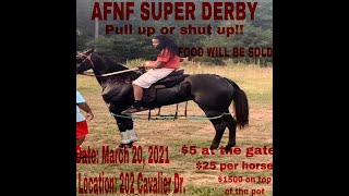 Standardbred Horse Racing Under The Saddle Mansfield Louisiana [upl. by Ecnerolf]