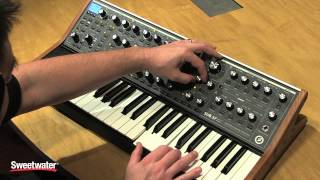 Moog Sub 37 Synthesizer Tweaking — Daniel Fisher [upl. by Ahser]