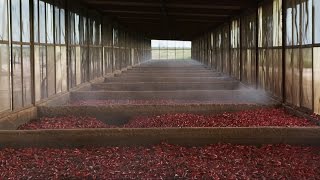 TABASCO® Chipotle Sauce Mexican heritage meets Louisiana tradition [upl. by Chilcote]