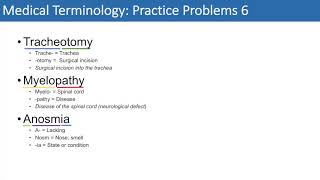 Medical Terminology  The Basics and Anatomy  Practice Problems Set 1 [upl. by Gabie]