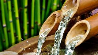 BAMBOO WATER FOUNTAIN  Relax amp Get Your Zen On  White Noise [upl. by Adham394]