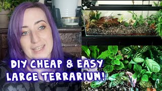 How to DIY  Large Aquarium Terrarium for Cheap  Rare Jewel Orchids Begonias amp More  PLANT DIY [upl. by Lenahs]