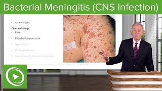 Bacterial Meningitis CNS Infection – Infectious Diseases  Lecturio [upl. by Thrift]