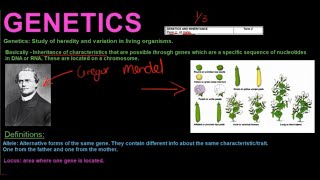 Gr 12 Life Sciences Genetics and Inheritance Part 1 [upl. by Cecilio]