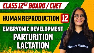 Human Reproduction 12  Embryonic Development Parturition Lactation  Class 12thCUET [upl. by Zitvaa]