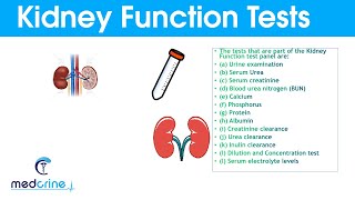 Kidney Function Tests and Interpretation of Results [upl. by Libbey]