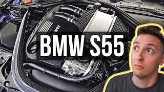 BMW S55 Everything You Need to Know [upl. by Atiuqehs]