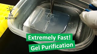 DNA Gel Purification  Freeze amp Squeeze Method [upl. by Asel890]