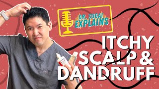 Dr Sugai Explains Itchy Scalp and Dandruff What Shampoos to Consider [upl. by Duncan]