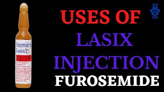 FurosemideThe Lasix Injection Uses [upl. by Noivad]