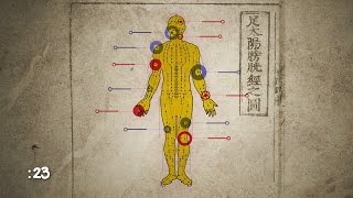 How Does Acupuncture Work  WebMD [upl. by Acinhoj]