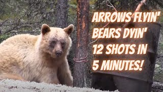 Arrows Flyin Bears Dyin  12 Bear Hunting shots in 5 minutes [upl. by Valeda]