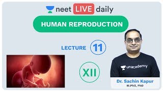 Human Reproduction  Lecture 11  Class 12  Unacademy NEET  LIVE DAILY  NEET Biology  Dr Sachin [upl. by Latin]