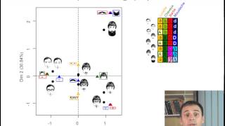 LAnalyse des Correspondances Multiples en 6 minutes [upl. by Kralc732]