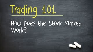 Trading 101 How Does the Stock Market Work [upl. by Finah]