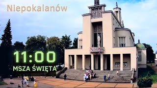 1109 g1100 Msza na żywo  NIEPOKALANÓW  Bazylika [upl. by Ennoitna]