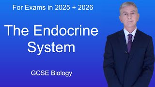 GCSE Biology Revision quotThe Endocrine Systemquot [upl. by Wendi]