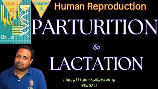 Parturition and Lactation class 12 NCERT for NEET [upl. by Dyun922]