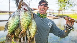 BIG CRAPPIE SPAWNING in Shallow Brush CATCH amp COOK [upl. by Ellennaj]