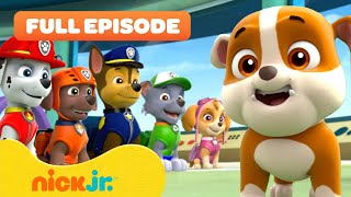 Rubble Joins the PAW Patrol and the Pups Save a Walrus  FULL EPISODES  Nick Jr [upl. by Arlan]