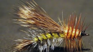 Stimulator stonefly dry fly tying instructions by Ruben Martin [upl. by Goines]